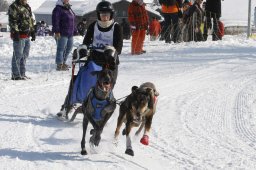 Lenk 2012 SM